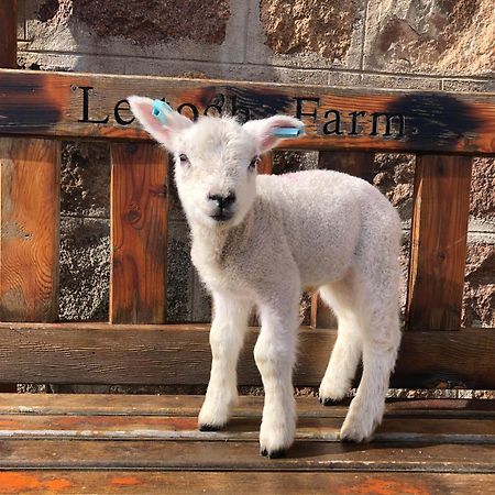 ダフタウン Lettoch Farm Bed & Breakfast エクステリア 写真